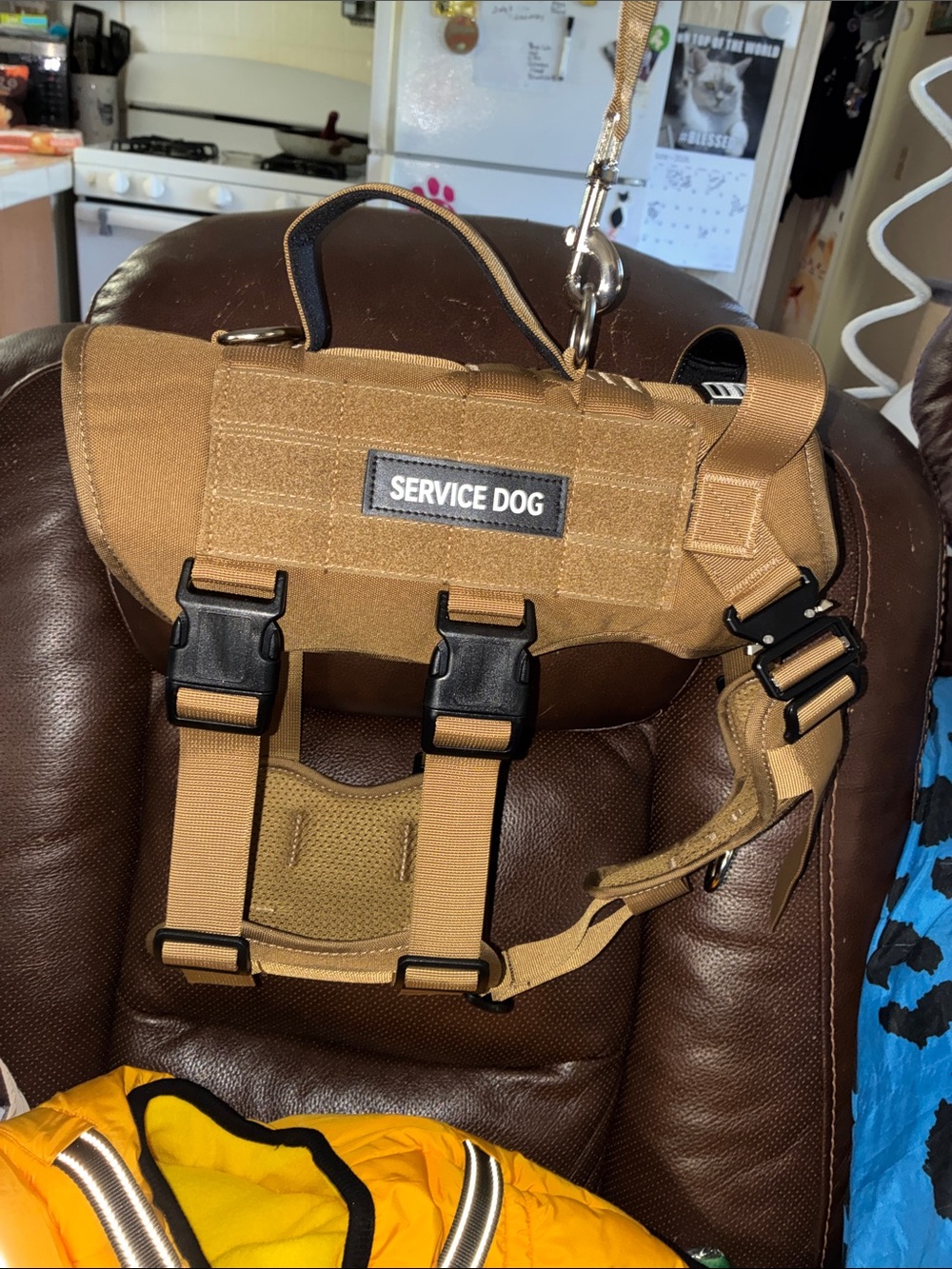 Service Dog Harness Vest - Tan